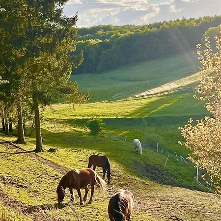 Nyaraló In With Sauna