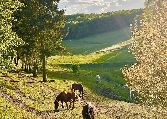 Semesterbostad In With Sauna